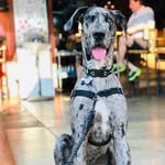 Jerri Murphy - @jerri.the.great - Instagram