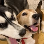 Jerry & Murphy - @jerry_and_murphy - Instagram