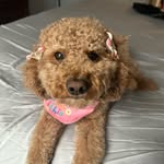 Jerri Murray - @lynn_m_8971 - Instagram