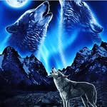 Jerry Nash - @jerrinash1964 - Instagram