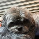 Jerri Stephens Nelson - @rving_with_jerri_and_chris - Instagram