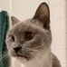 Jerri Nichols - Facebook