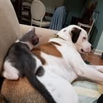 Jerri Pearson - @jerri.pearson.5 - Instagram