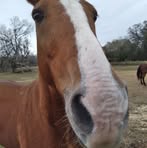 Jerri Phillips - Facebook