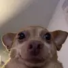 Jerrilee Potts - @jerrilee.potts3 - TikTok