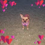 Jerri Radloff - @jerrirad - Instagram