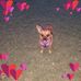 Jerri Radloff - Facebook