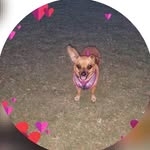 Jerri Radloff - @jerrirad_ - Instagram