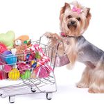 Jerri Robbins - @thespoiledpetstore - Instagram