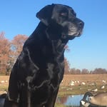 Jerry Rowland - @jr_wi_fishing - Instagram