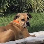 Jerri Smith - @jerrias2021 - Instagram