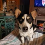 Jerry Stein - @jerry9860 - Instagram