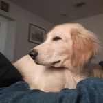 Jerry Vinson - @jerry.vinson.129 - Instagram