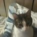 Jeri Warren - Facebook