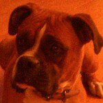 Jerrick Smith - @jerrick_has_a_dog_ - Instagram