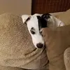Jeri Austin - @jeri.austin - TikTok