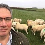 Jerry Sanders-Carr - @exe_valley_lamb - Instagram