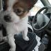 Jerrie Davis - Facebook