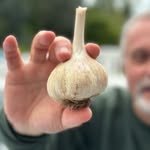 Jerry Evans - @backyard_garden_adventures - Instagram