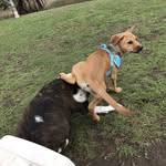Jerry Walker - @jerrywalker9335 - Instagram