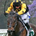 Jarrod Austin - @austinracingstables - Instagram