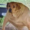 Jarrod Ferguson - @jarrod.ferguson1 - TikTok