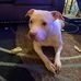 Jerrod Price - Facebook