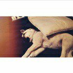 Marcy jerrod young - @marcyownseverything - Instagram