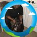 Jerrold Ingram - Facebook