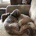 Jerry Abell - Facebook