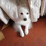 Jerry Abellera - @jerry.abellera.1 - Instagram