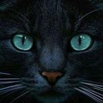 Jerry Acevedo - @elcamaleon0003 - Instagram