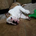 Jerry Acuna - @gfacuna - Instagram