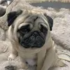 jerry Edelman - @jerry.edelman1 - TikTok
