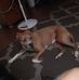 Jerry Akers - Facebook