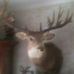 Jerry Albritton - Facebook