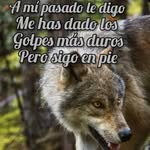 Jerry Alonzo - @jerryalonzo591 - Instagram