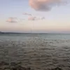 Marjerry Amano - @marjerry.amano - TikTok