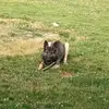 Jerryandruszaniec - @jerryandruszaniec - TikTok