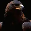 jerryard457 - @jerryard457 - TikTok
