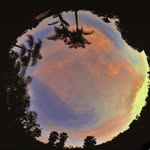 Jerry Jay Arp - @jerryarp - Instagram