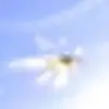 jerryartz11 - @jerryartz11 - TikTok
