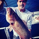Jerry Atchison - @fish_man_jerry__a - Instagram
