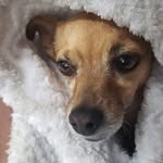 Jerri Atherton Massey - @jerri.a.massey - Instagram
