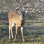 Jerry Bagley Jr - @jdbjr64 - Instagram