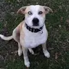 jerrybagwell672 - @jerrybagwell672 - TikTok