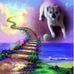 Jerry Bales - Facebook