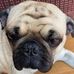 Jerry Ballenger - Facebook