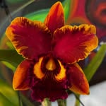 Jerry Ballinger - @ballinger.jerry - Instagram