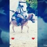 horsepower216 - @jerry_barney_c_p_m - Instagram